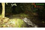 COSTA-RICA: einzigartiges Dschungel-Eco-Hotel in Drake Bay - Gewerbeobjekt Costa Rica | Angebot:2885932