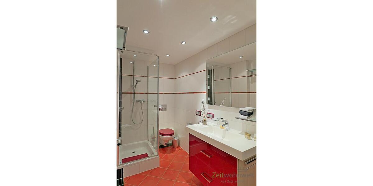 modernes Bad mit Dusche