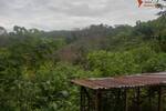 COSTA-RICA: Farm mit 31 ha, schönen Wasserfällen und viel Urwald bei la Julieta - Grundstück Costa Rica | Angebot:2885927