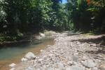 COSTA-RICA: Urwald Farm mit 31 ha Farm, Wasserquellen, Bächen bei Cahuita-Carbon - Grundstück Costa Rica | Angebot:2885929