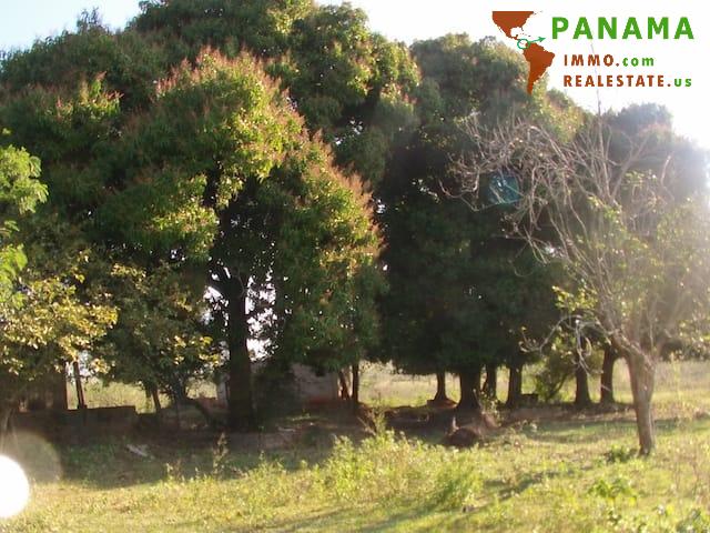 Paraguay: Natur belassenes Grundstück mit individueller Neubebauung - Bungalow Piribebuy | Angebot:1735941