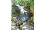 COSTA-RICA: wunderschöne Naturfarm von 164 ha, mit vielen Wasserfällen und Urwald - Grundstück Golfito - Pazifik Süd Pazifik Süd | Angebot:2885935