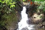 COSTA-RICA: wunderschöne Naturfarm von 164 ha, mit vielen Wasserfällen und Urwald - Grundstück Golfito - Pazifik Süd Pazifik Süd | Angebot:2885935