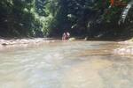 COSTA-RICA: Urwald Farm mit 31 ha Farm, Wasserquellen, Bächen bei Cahuita-Carbon - Grundstück Costa Rica | Angebot:2885929