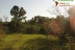 Paraguay: Natur belassenes Grundstück mit individueller Neubebauung - Bungalow Piribebuy | Angebot:1735941