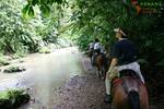 COSTA-RICA: einzigartiges Dschungel-Eco-Hotel in Drake Bay - Gewerbeobjekt Costa Rica | Angebot:2885932