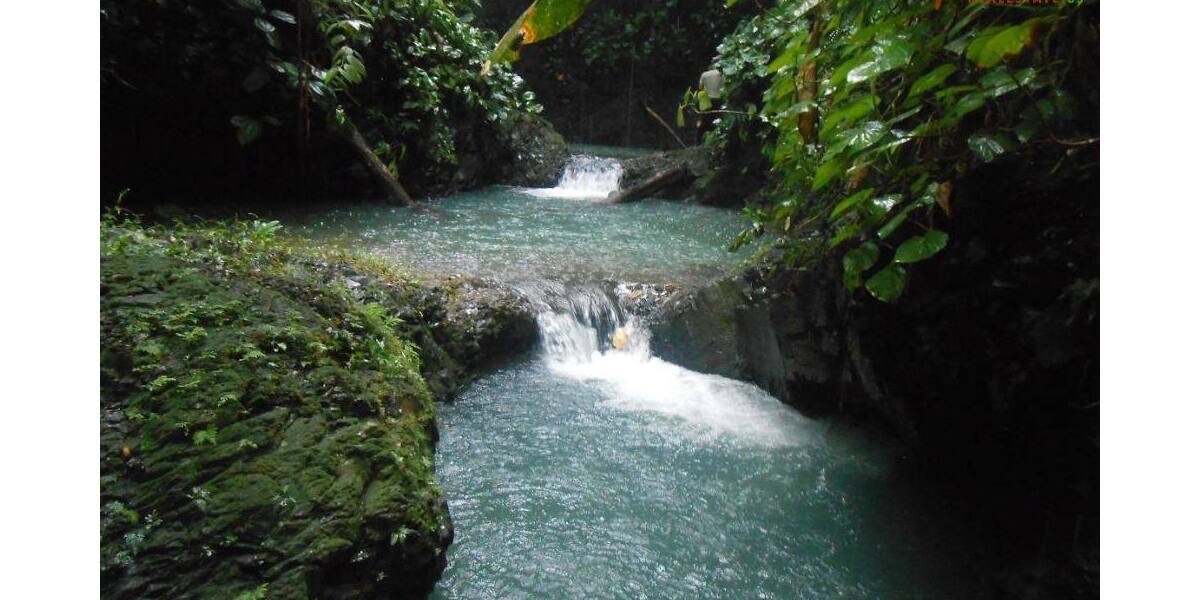 COSTA-RICA: Farm mit 31 ha, schönen Wasserfällen und viel Urwald bei la Julieta - Grundstück Costa Rica | Angebot:2885927
