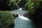 COSTA-RICA: Farm mit 31 ha, schönen Wasserfällen und viel Urwald bei la Julieta - Grundstück Costa Rica | Angebot:2885927
