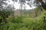 COSTA-RICA: Farm mit 31 ha, schönen Wasserfällen und viel Urwald bei la Julieta - Grundstück Costa Rica | Angebot:2885927