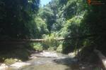 COSTA-RICA: Urwald Farm mit 31 ha Farm, Wasserquellen, Bächen bei Cahuita-Carbon - Grundstück Costa Rica | Angebot:2885929