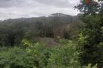 COSTA-RICA: Farm mit 31 ha, schönen Wasserfällen und viel Urwald bei la Julieta - Grundstück Costa Rica | Angebot:2885927