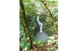 COSTA-RICA: Farm mit 31 ha, schönen Wasserfällen und viel Urwald bei la Julieta - Grundstück Costa Rica | Angebot:2885927