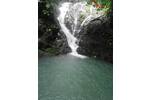 COSTA-RICA: Farm mit 31 ha, schönen Wasserfällen und viel Urwald bei la Julieta - Grundstück Costa Rica | Angebot:2885927