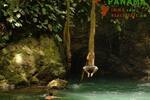COSTA-RICA: wunderschöne Naturfarm von 164 ha, mit vielen Wasserfällen und Urwald - Grundstück Golfito - Pazifik Süd Pazifik Süd | Angebot:2885935